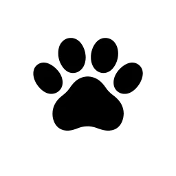 Pets Brazil
